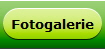 Fotogalerie